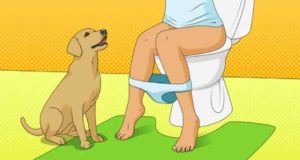 why my dog follows me to the bathroom